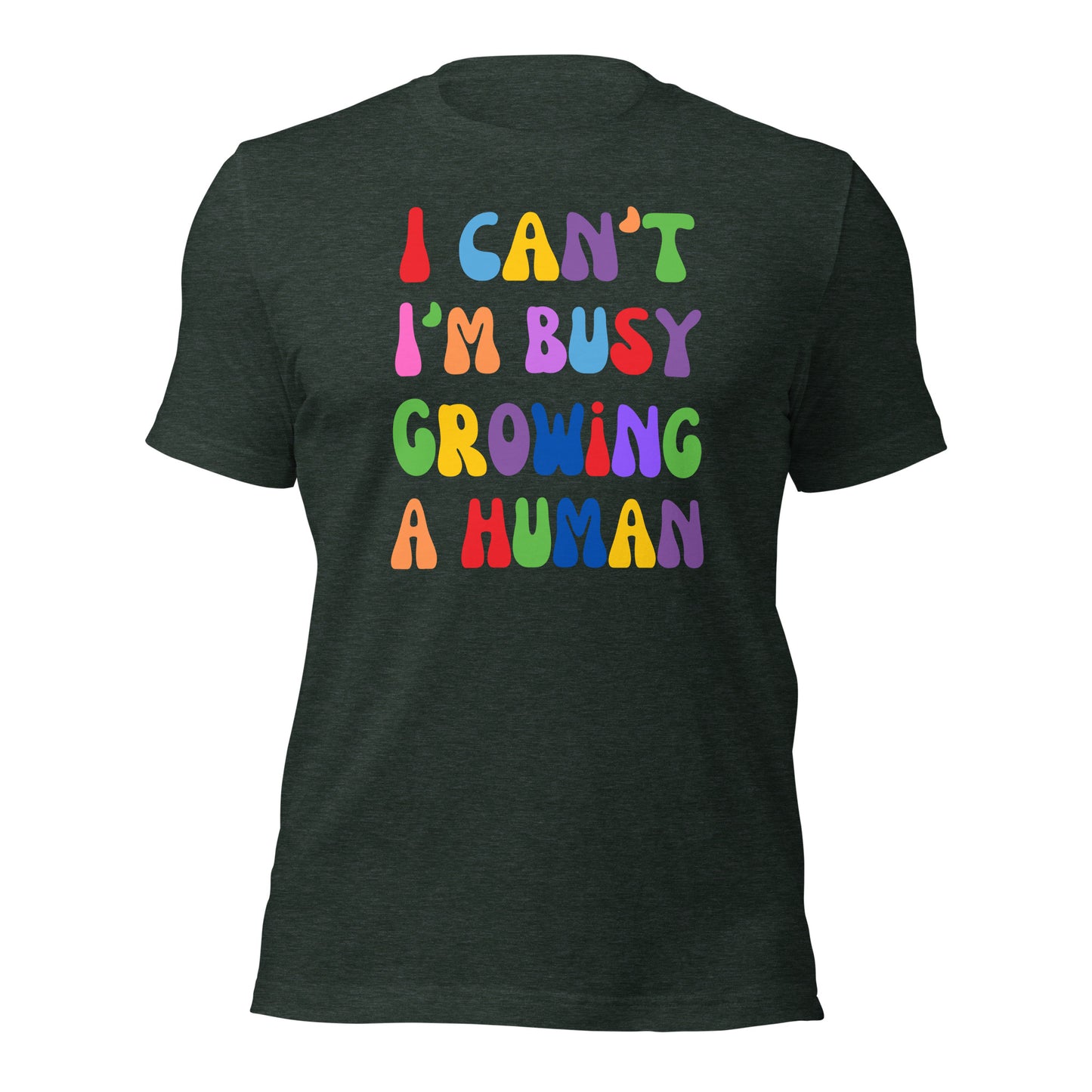 Funny Pregnancy Shirt New Mama Shirt Growing a Human T-shirt
