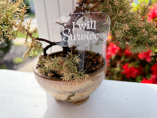 Acrylic Plant Stakes / Punny Garden Stakes