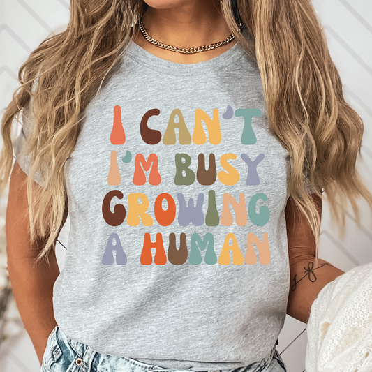 Funny Pregnancy Shirt New Mama Shirt Growing a Human T-shirt