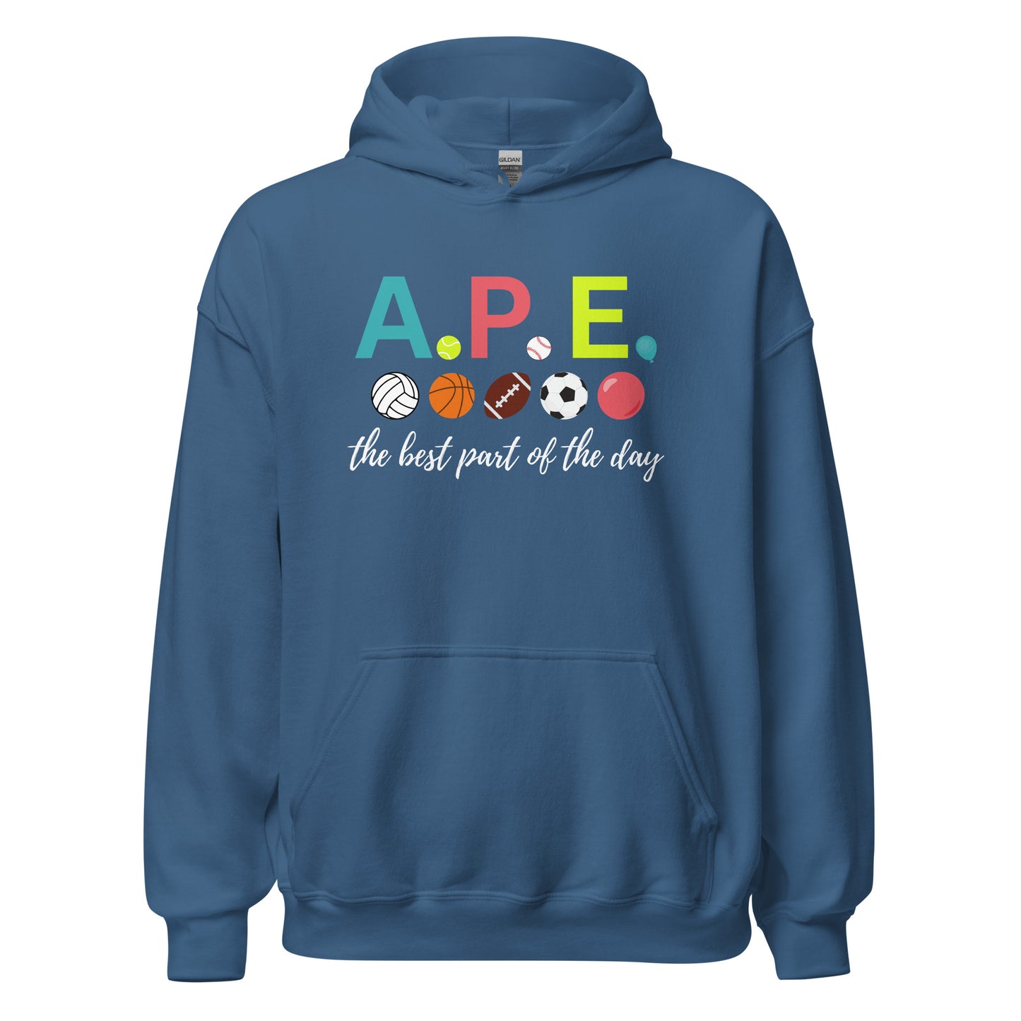 Adapted Physical Education Teacher Hoodie