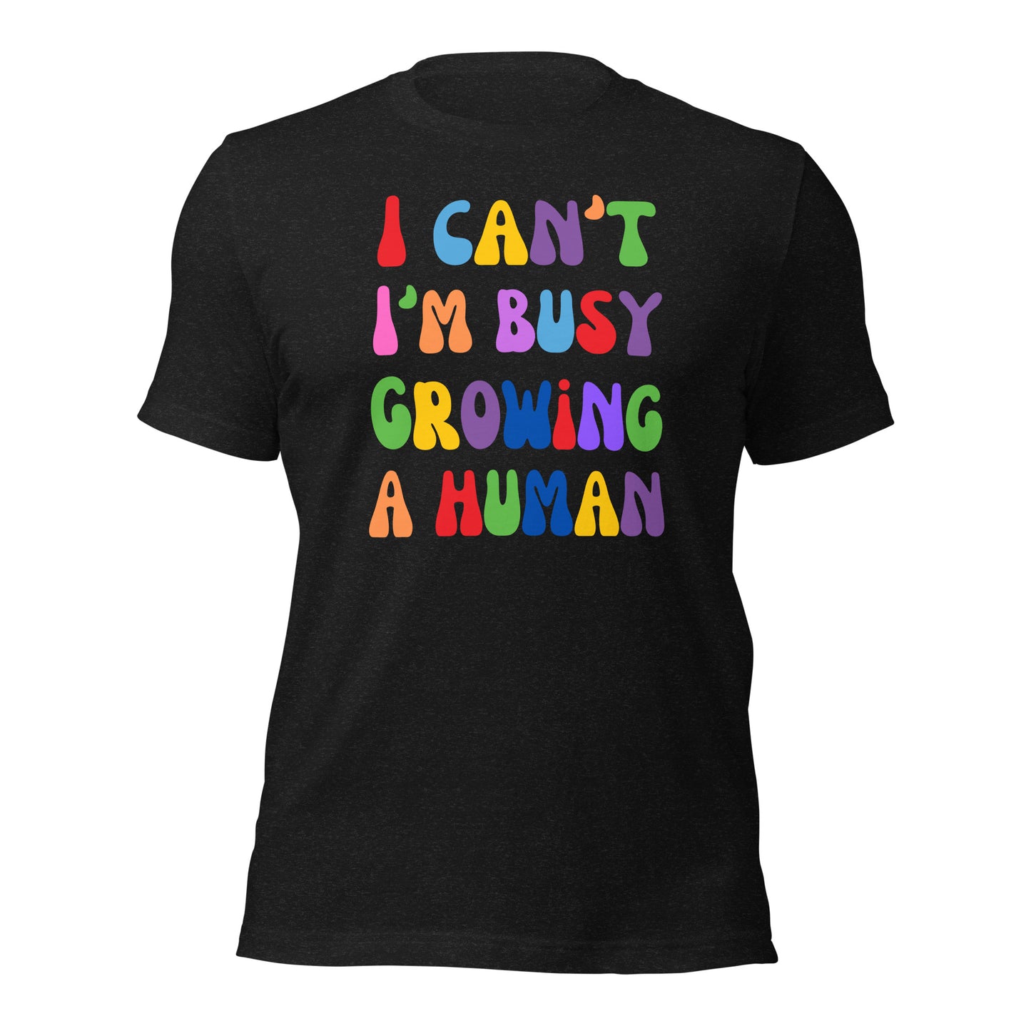 Funny Pregnancy Shirt New Mama Shirt Growing a Human T-shirt